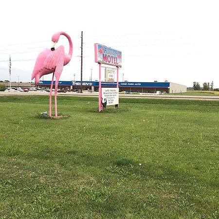 Flamingo Motel Marshalltown Buitenkant foto