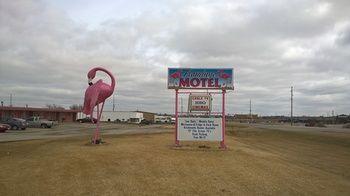 Flamingo Motel Marshalltown Buitenkant foto